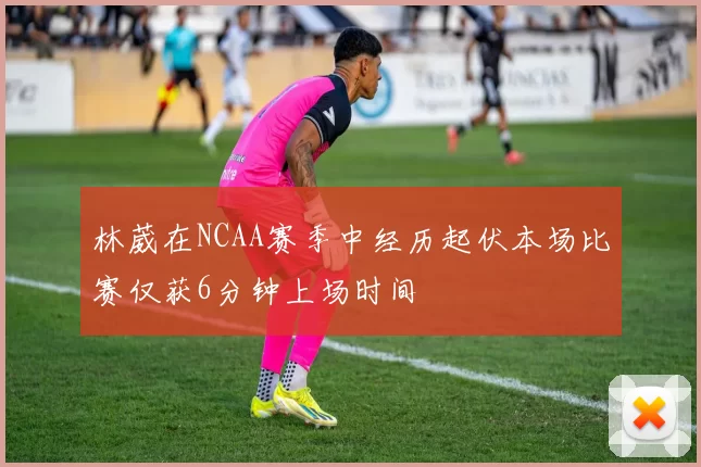 林葳在NCAA赛季中经历起伏本场比赛仅获6分钟上场时间
